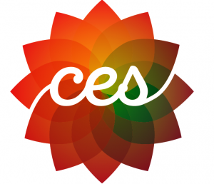 CES Consulting